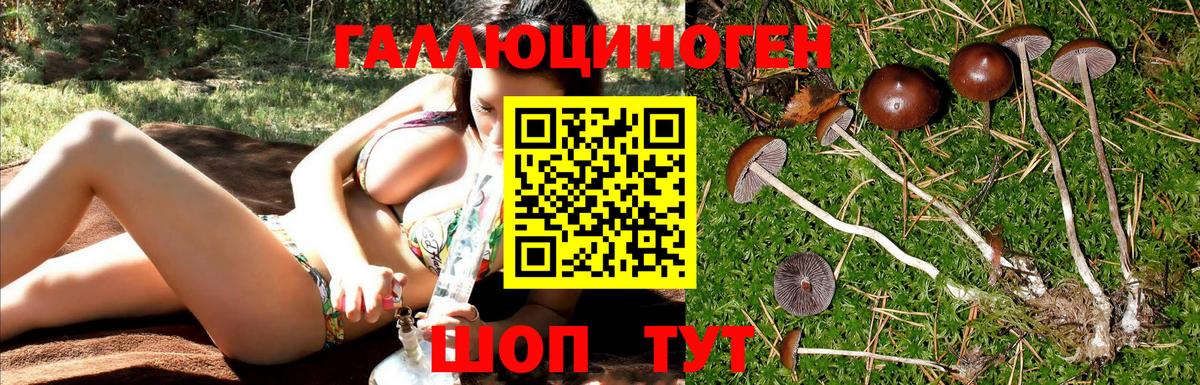 Саранск  Галлюциногенные грибы мухоморы  Вход с VPN 