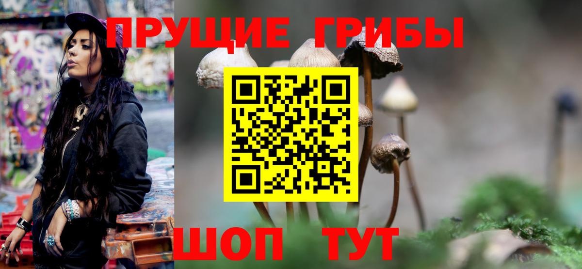 Галлюциногенные грибы Cubensis Саранск